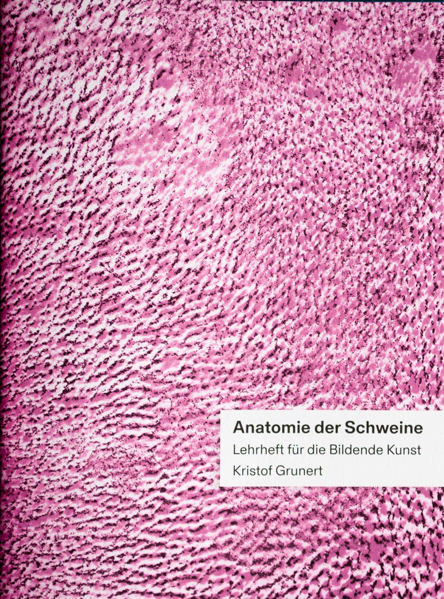 Anatomie der Schweine – Lehrheft für die bildende Kunst