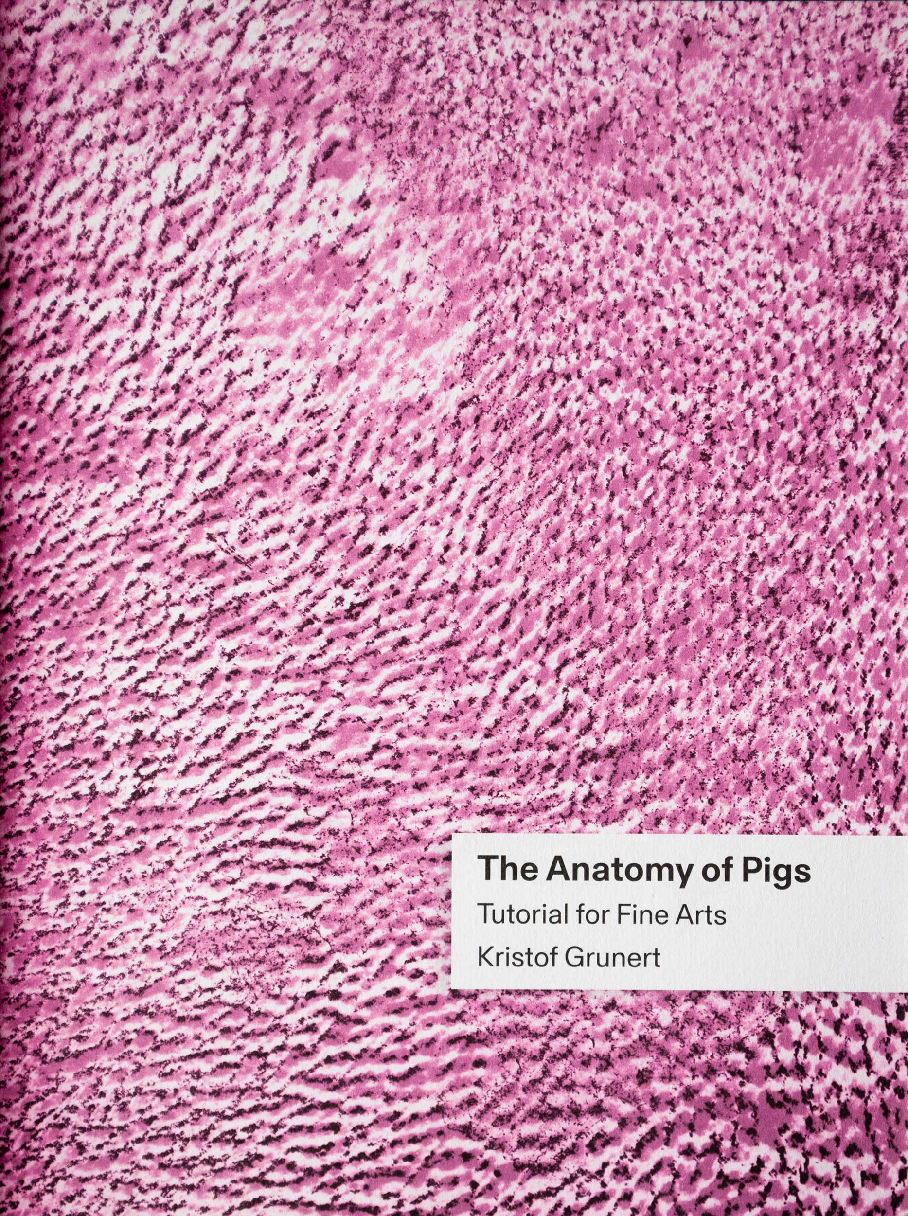 Anatomy of pigs – Tutorial for Fine Arts
