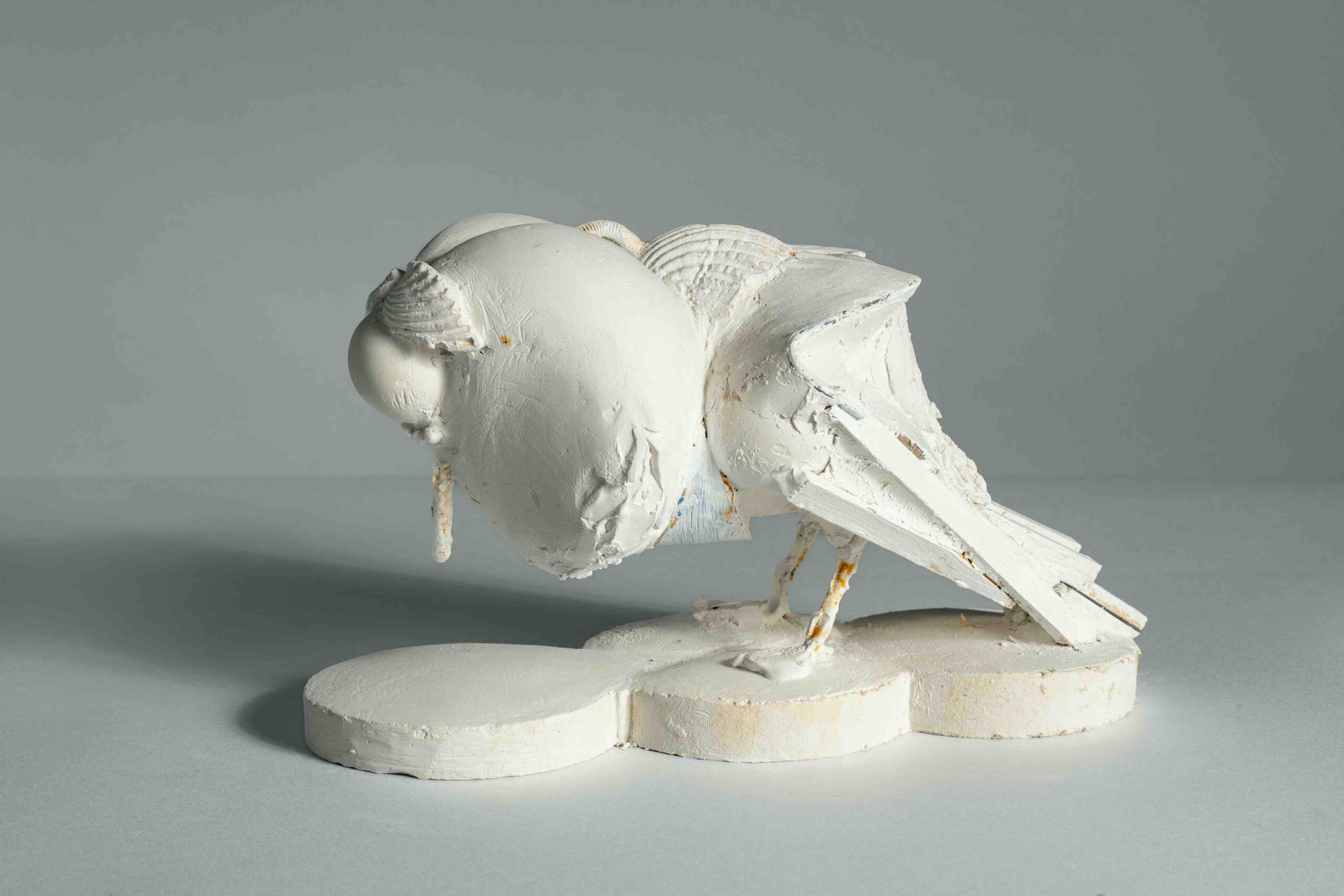 Kampfläufer 1