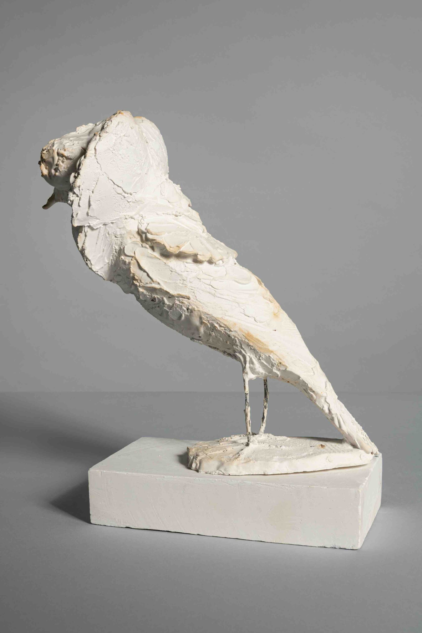Kampfläufer 2